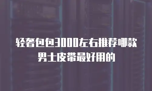 轻奢包包3000左右推荐哪款男士皮带最好用的