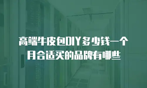 高端牛皮包DIY多少钱一个月合适买的品牌有哪些