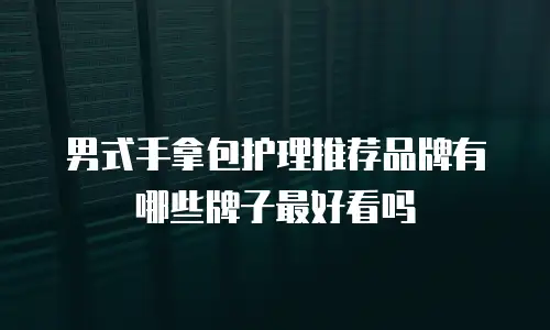 男式手拿包护理推荐品牌有哪些牌子最好看吗