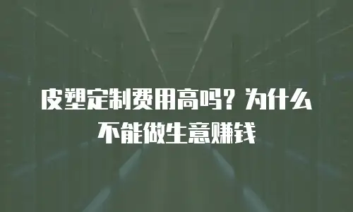 皮塑定制费用高吗？为什么不能做生意赚钱