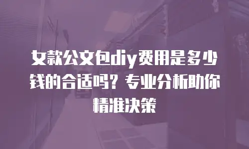 女款公文包diy费用是多少钱的合适吗？专业分析助你精准决策