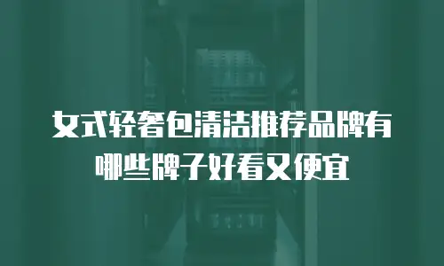 女式轻奢包清洁推荐品牌有哪些牌子好看又便宜