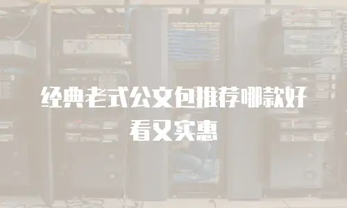 经典老式公文包推荐哪款好看又实惠