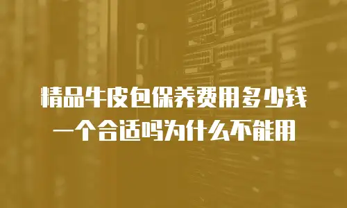 精品牛皮包保养费用多少钱一个合适吗为什么不能用