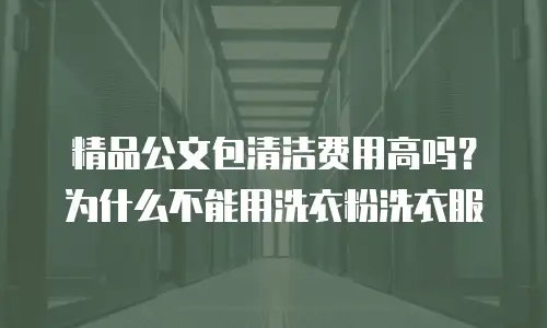 精品公文包清洁费用高吗？为什么不能用洗衣粉洗衣服
