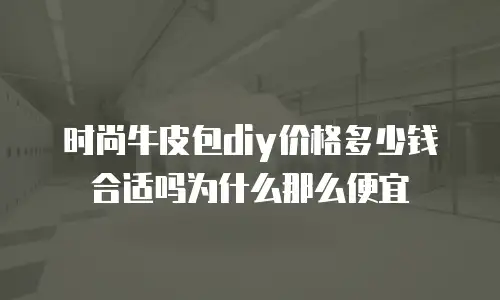 时尚牛皮包diy价格多少钱合适吗为什么那么便宜