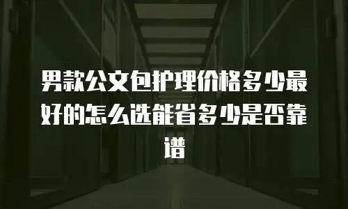 男款公文包护理价格多少最好的怎么选能省多少是否靠谱