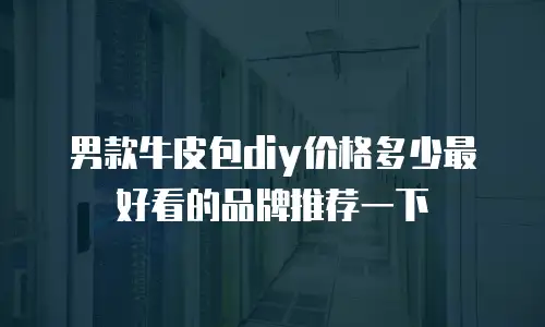男款牛皮包diy价格多少最好看的品牌推荐一下