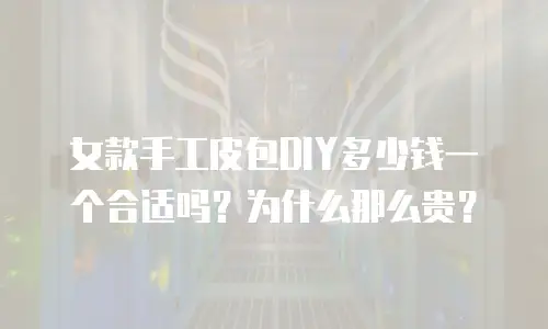 女款手工皮包DIY多少钱一个合适吗？为什么那么贵？