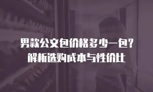 男款公文包价格多少一包？解析选购成本与性价比