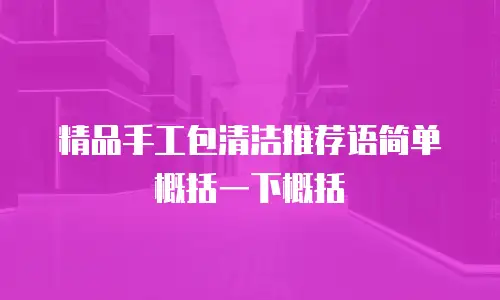 精品手工包清洁推荐语简单概括一下概括