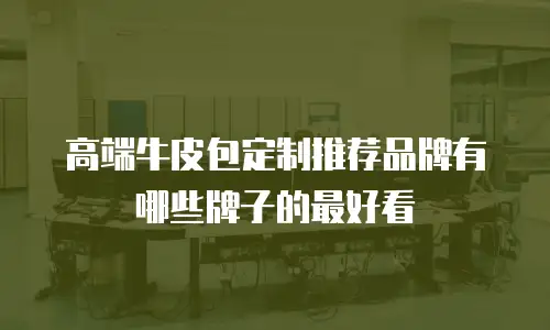 高端牛皮包定制推荐品牌有哪些牌子的最好看