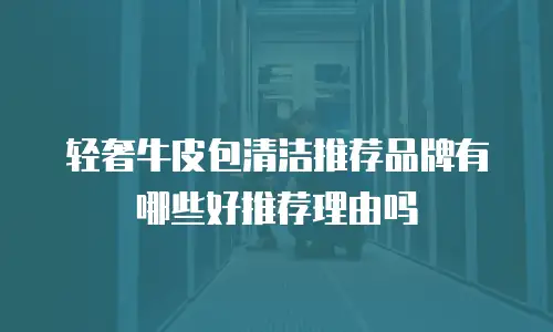 轻奢牛皮包清洁推荐品牌有哪些好推荐理由吗