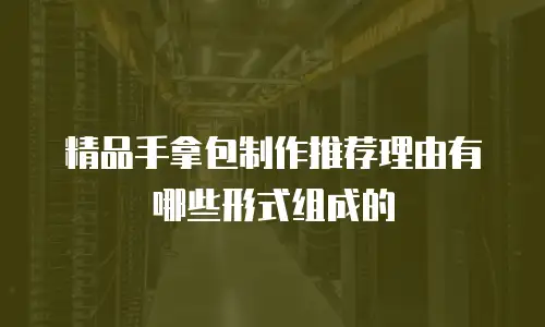 精品手拿包制作推荐理由有哪些形式组成的