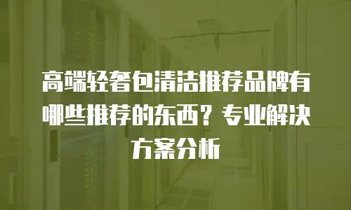 高端轻奢包清洁推荐品牌有哪些推荐的东西？专业解决方案分析