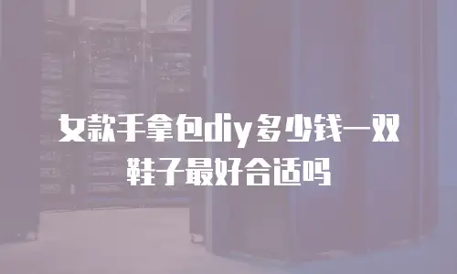 女款手拿包diy多少钱一双鞋子最好合适吗