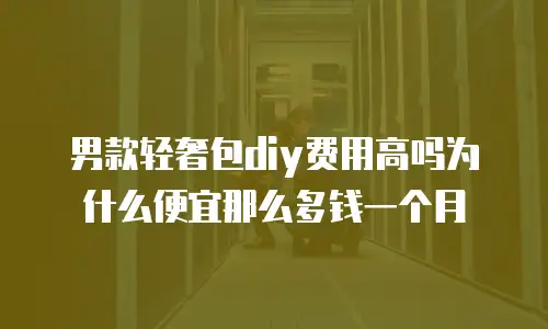 男款轻奢包diy费用高吗为什么便宜那么多钱一个月
