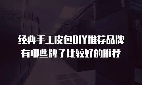 经典手工皮包DIY推荐品牌有哪些牌子比较好的推荐