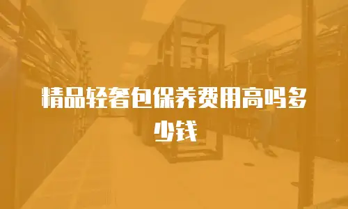 精品轻奢包保养费用高吗多少钱