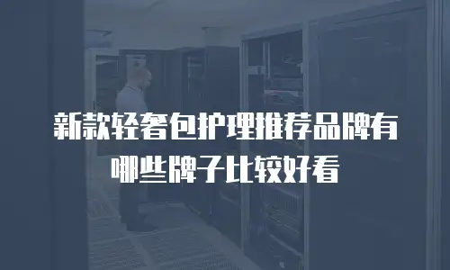 新款轻奢包护理推荐品牌有哪些牌子比较好看