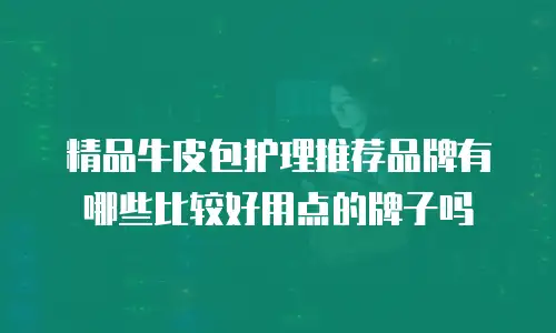 精品牛皮包护理推荐品牌有哪些比较好用点的牌子吗