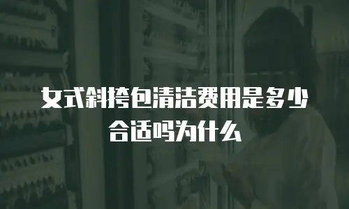 女式斜挎包清洁费用是多少合适吗为什么