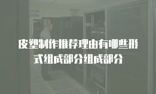 皮塑制作推荐理由有哪些形式组成部分组成部分