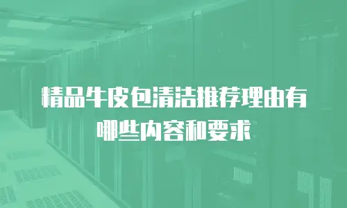 精品牛皮包清洁推荐理由有哪些内容和要求