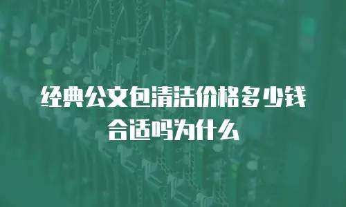经典公文包清洁价格多少钱合适吗为什么