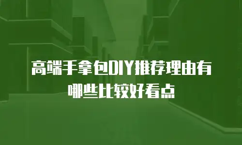 高端手拿包DIY推荐理由有哪些比较好看点