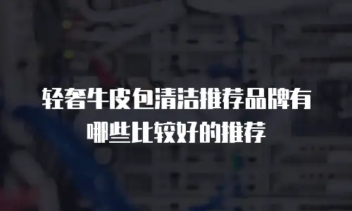 轻奢牛皮包清洁推荐品牌有哪些比较好的推荐