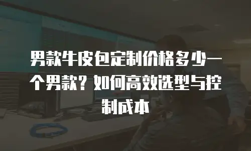 男款牛皮包定制价格多少一个男款？如何高效选型与控制成本