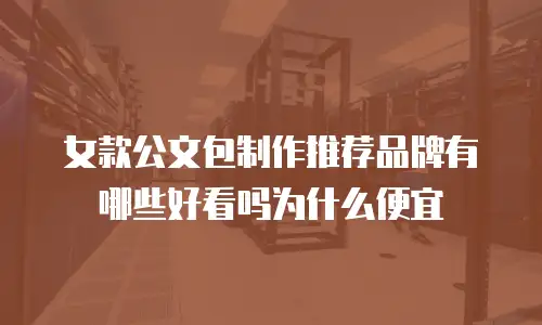 女款公文包制作推荐品牌有哪些好看吗为什么便宜