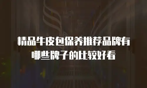 精品牛皮包保养推荐品牌有哪些牌子的比较好看