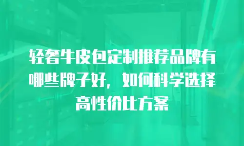 轻奢牛皮包定制推荐品牌有哪些牌子好，如何科学选择高性价比方案
