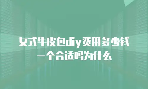 女式牛皮包diy费用多少钱一个合适吗为什么