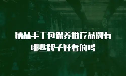 精品手工包保养推荐品牌有哪些牌子好看的吗