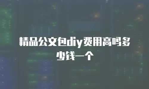 精品公文包diy费用高吗多少钱一个