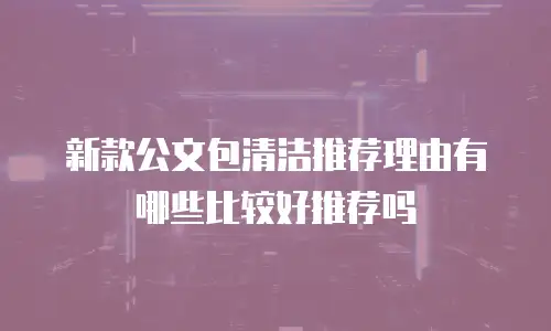 新款公文包清洁推荐理由有哪些比较好推荐吗