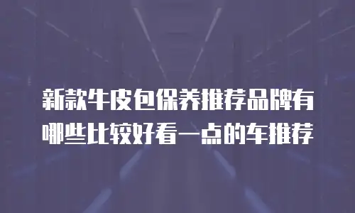新款牛皮包保养推荐品牌有哪些比较好看一点的车推荐
