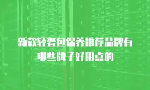 新款轻奢包保养推荐品牌有哪些牌子好用点的
