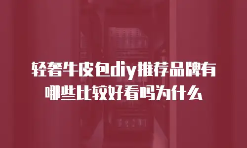 轻奢牛皮包diy推荐品牌有哪些比较好看吗为什么