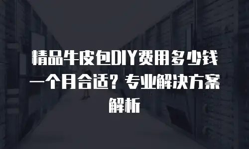 精品牛皮包DIY费用多少钱一个月合适？专业解决方案解析