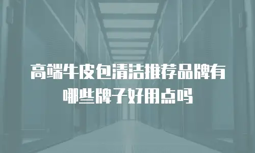 高端牛皮包清洁推荐品牌有哪些牌子好用点吗
