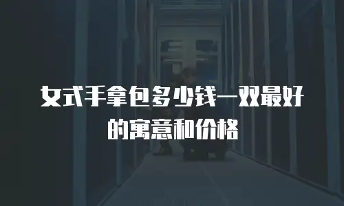 女式手拿包多少钱一双最好的寓意和价格