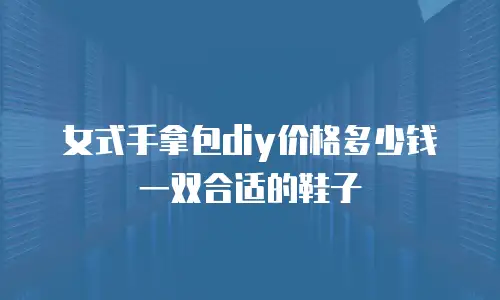 女式手拿包diy价格多少钱一双合适的鞋子