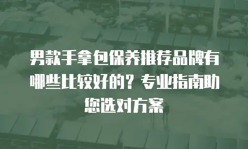 男款手拿包保养推荐品牌有哪些比较好的？专业指南助您选对方案