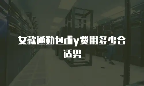 女款通勤包diy费用多少合适男