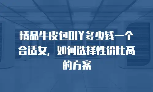 精品牛皮包DIY多少钱一个合适女，如何选择性价比高的方案