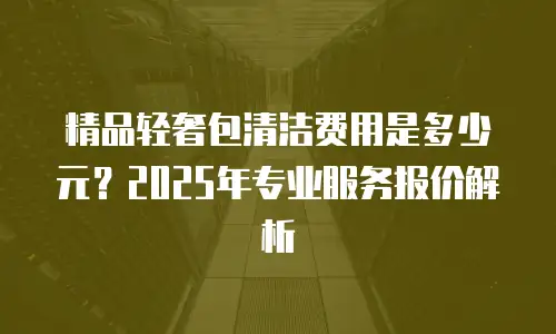 精品轻奢包清洁费用是多少元？2025年专业服务报价解析